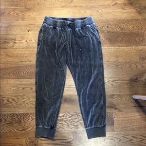 Gray velvet joggers